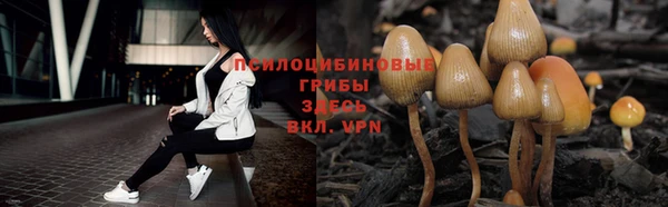 a pvp Алзамай