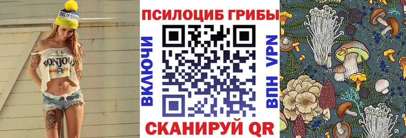 купить наркотик  Бабаево  blacksprut зеркало  Галлюциногенные грибы Magic Shrooms 