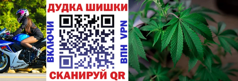 Шишки марихуана планчик  наркота  mega tor  Бабаево 
